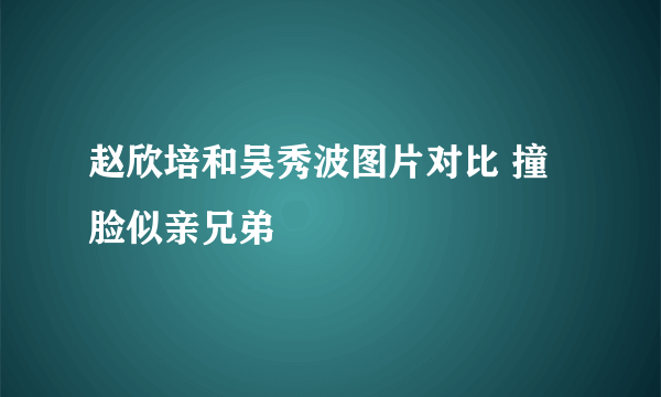 赵欣培和吴秀波图片对比 撞脸似亲兄弟