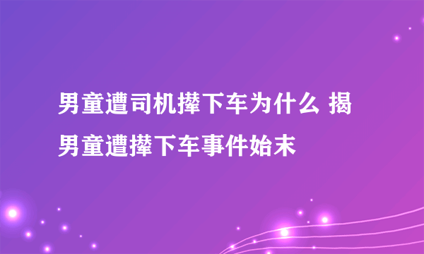 男童遭司机撵下车为什么 揭男童遭撵下车事件始末