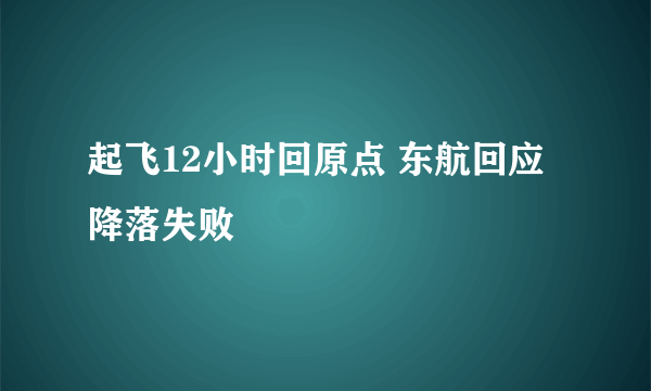 起飞12小时回原点 东航回应降落失败