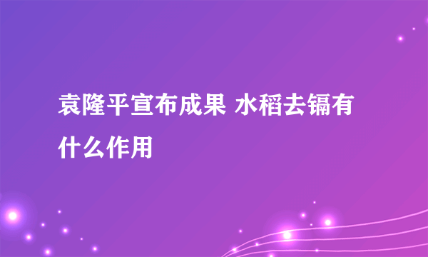 袁隆平宣布成果 水稻去镉有什么作用