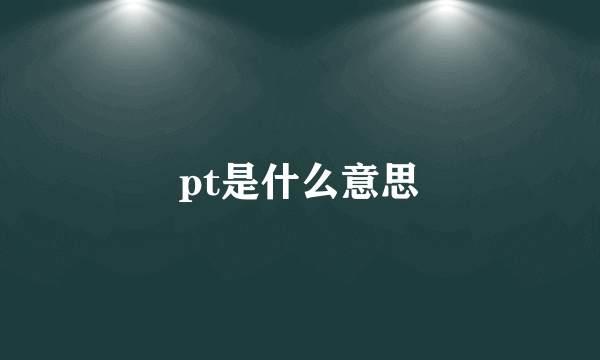 pt是什么意思