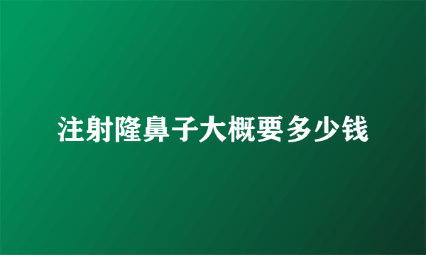 注射隆鼻子大概要多少钱