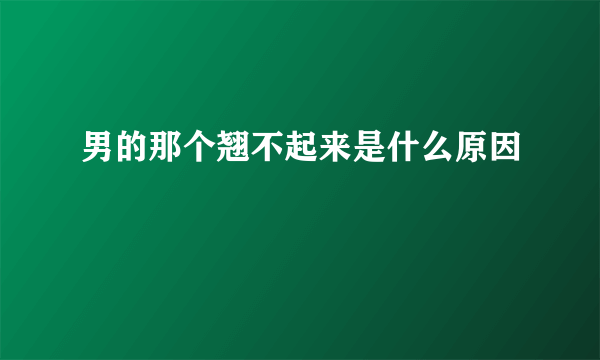 男的那个翘不起来是什么原因