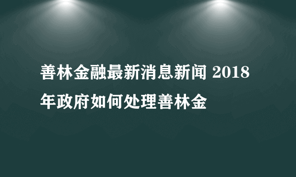 善林金融最新消息新闻 2018年政府如何处理善林金