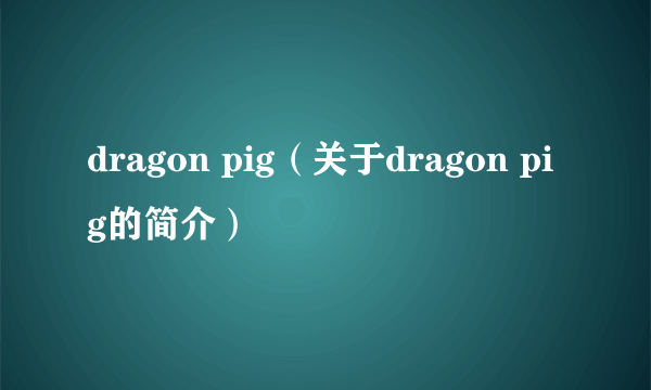 dragon pig（关于dragon pig的简介）