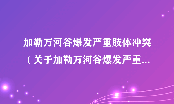 加勒万河谷爆发严重肢体冲突（关于加勒万河谷爆发严重肢体冲突的介绍）