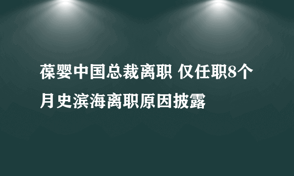 葆婴中国总裁离职 仅任职8个月史滨海离职原因披露