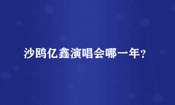 沙鸥亿鑫演唱会哪一年？