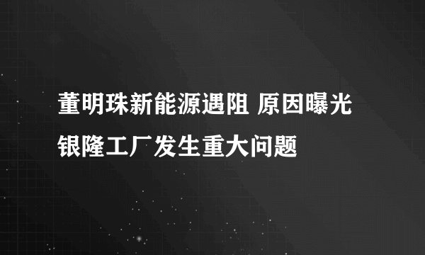 董明珠新能源遇阻 原因曝光银隆工厂发生重大问题