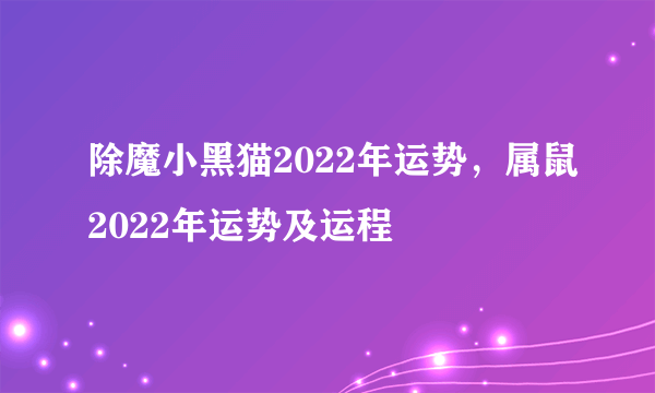 除魔小黑猫2022年运势，属鼠2022年运势及运程