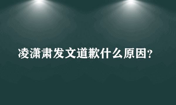 凌潇肃发文道歉什么原因？