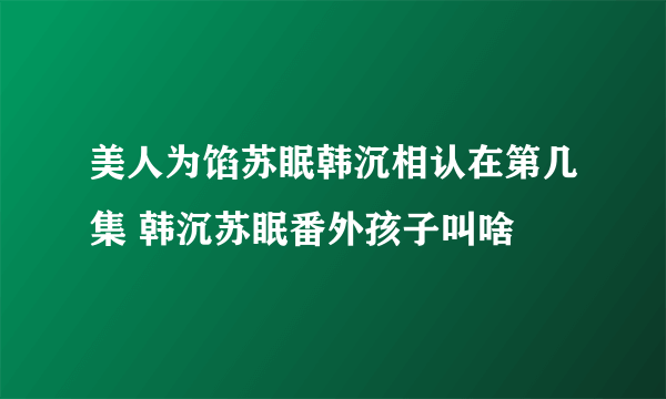 美人为馅苏眠韩沉相认在第几集 韩沉苏眠番外孩子叫啥