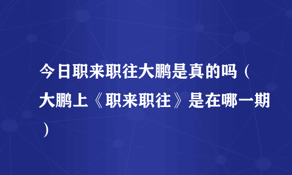 今日职来职往大鹏是真的吗（大鹏上《职来职往》是在哪一期）