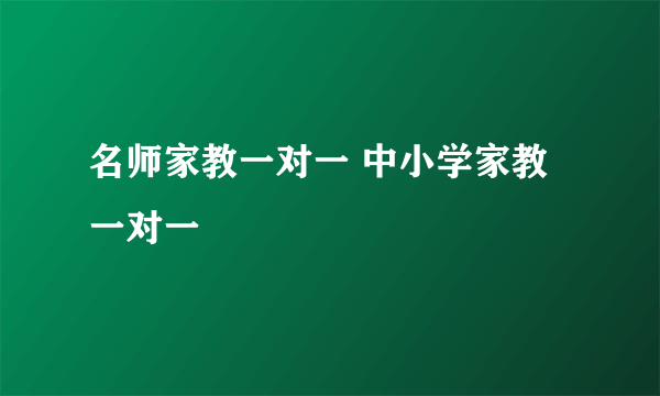 名师家教一对一 中小学家教一对一