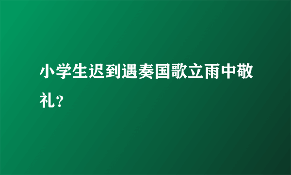 小学生迟到遇奏国歌立雨中敬礼？