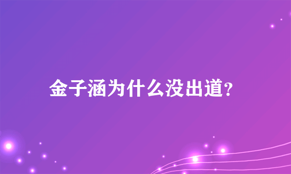 金子涵为什么没出道？