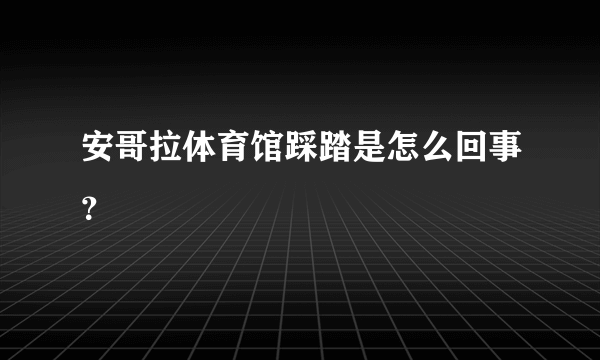 安哥拉体育馆踩踏是怎么回事？