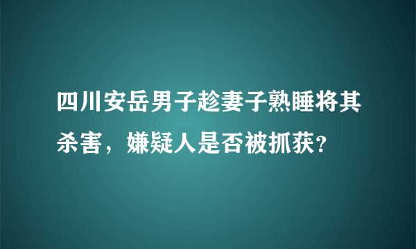 四川安岳男子趁妻子熟睡将其杀害，嫌疑人是否被抓获？