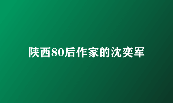 陕西80后作家的沈奕军