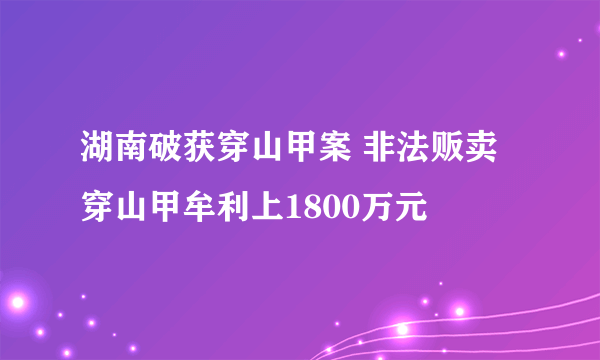 湖南破获穿山甲案 非法贩卖穿山甲牟利上1800万元