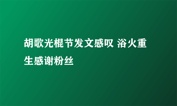 胡歌光棍节发文感叹 浴火重生感谢粉丝