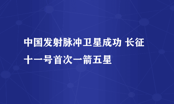 中国发射脉冲卫星成功 长征十一号首次一箭五星