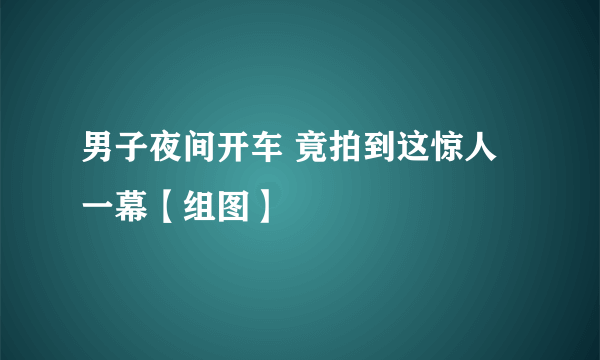 男子夜间开车 竟拍到这惊人一幕【组图】