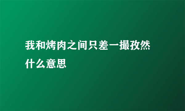 我和烤肉之间只差一撮孜然 什么意思