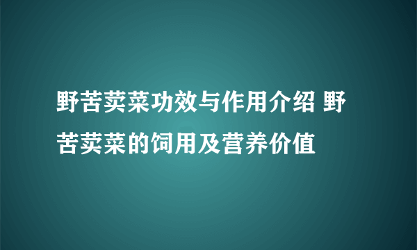 野苦荬菜功效与作用介绍 野苦荬菜的饲用及营养价值