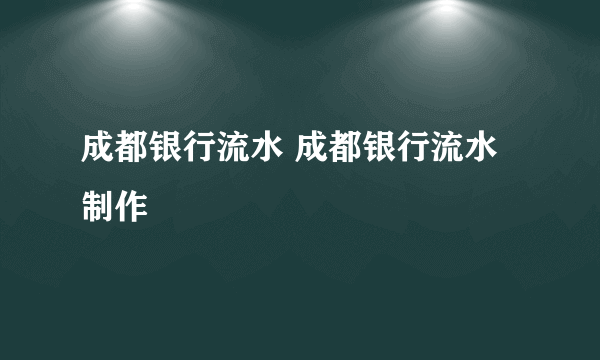 成都银行流水 成都银行流水制作