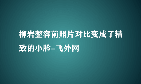 柳岩整容前照片对比变成了精致的小脸-飞外网