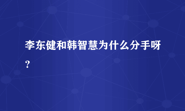 李东健和韩智慧为什么分手呀？