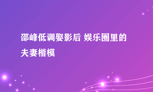 邵峰低调娶影后 娱乐圈里的夫妻楷模