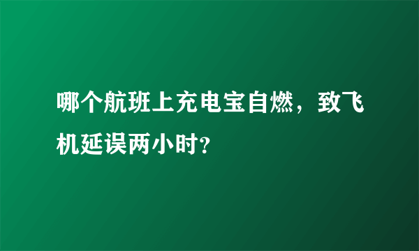 哪个航班上充电宝自燃，致飞机延误两小时？