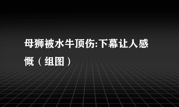 母狮被水牛顶伤:下幕让人感慨（组图）