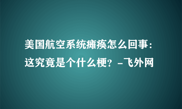 美国航空系统瘫痪怎么回事：这究竟是个什么梗？-飞外网