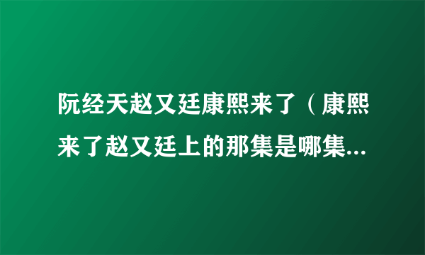 阮经天赵又廷康熙来了（康熙来了赵又廷上的那集是哪集啊）百科_飞外网