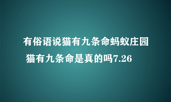 有俗语说猫有九条命蚂蚁庄园 猫有九条命是真的吗7.26