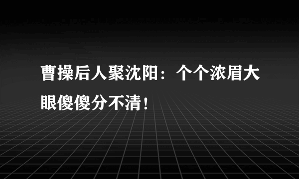 曹操后人聚沈阳：个个浓眉大眼傻傻分不清！