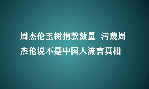 周杰伦玉树捐款数量  污蔑周杰伦说不是中国人流言真相