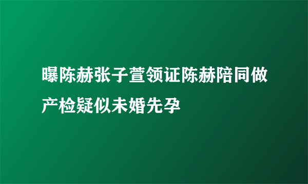 曝陈赫张子萱领证陈赫陪同做产检疑似未婚先孕