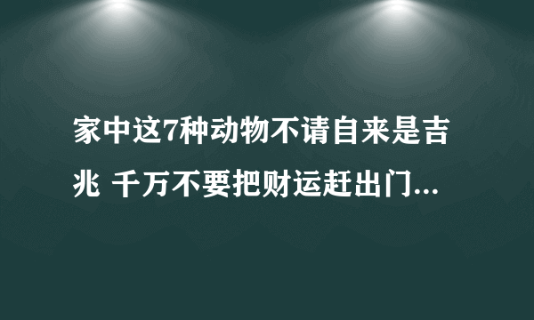 家中这7种动物不请自来是吉兆 千万不要把财运赶出门_飞外网