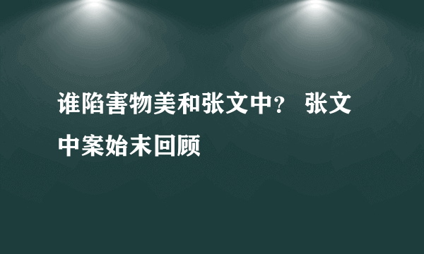 谁陷害物美和张文中？ 张文中案始末回顾