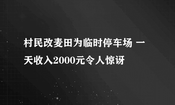 村民改麦田为临时停车场 一天收入2000元令人惊讶