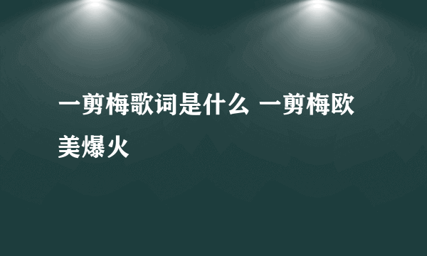 一剪梅歌词是什么 一剪梅欧美爆火