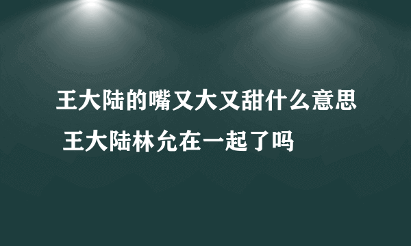 王大陆的嘴又大又甜什么意思 王大陆林允在一起了吗