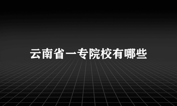 云南省一专院校有哪些