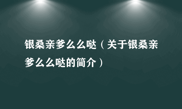 银桑亲爹么么哒（关于银桑亲爹么么哒的简介）