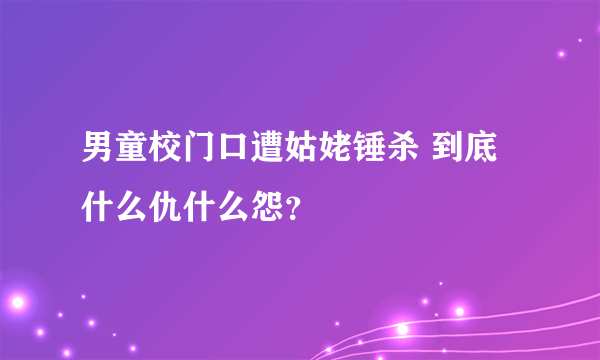 男童校门口遭姑姥锤杀 到底什么仇什么怨？