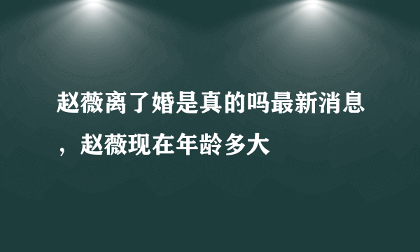 赵薇离了婚是真的吗最新消息，赵薇现在年龄多大